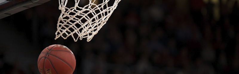 洛杉矶湖人队队徽